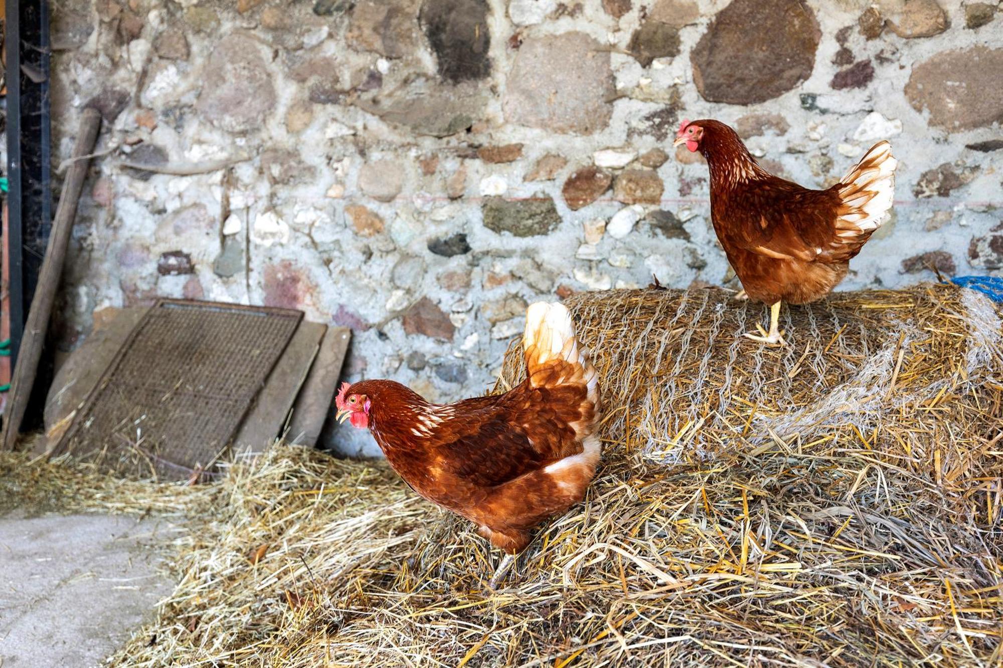 New Agriturismo Corte Olfino Monzambano Εξωτερικό φωτογραφία