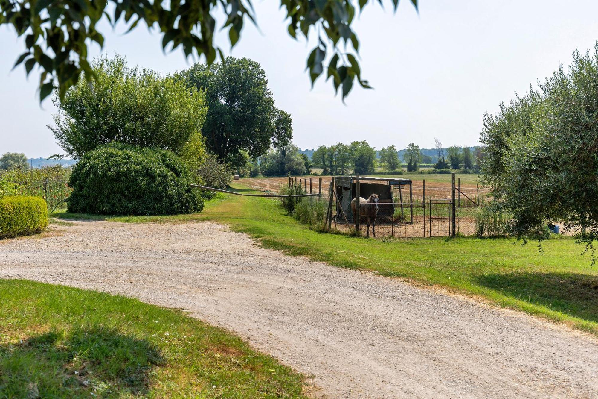New Agriturismo Corte Olfino Monzambano Εξωτερικό φωτογραφία